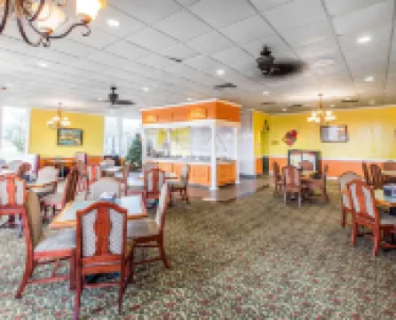 Days Inn by Wyndham Hinesville Near Fort Stewart Hotels in Hinesville