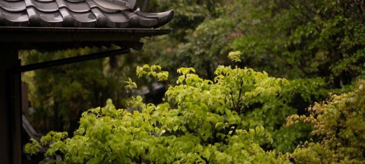 由布院温泉 日の春旅館 由布のホテル