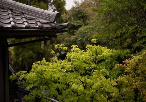 Yufuin Onsen Hinoharu Ryokan