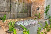 Angkor Tempora Boutique - Hot Springs