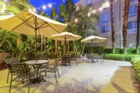 Hilton Garden Inn Fort Myers Hotels near Thomas A Edison Congregational