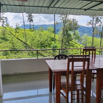 The Tea View Guest Ella