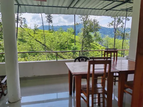 The Tea View Guest Ella