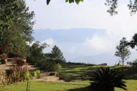 Bawlana Estate - Kandy