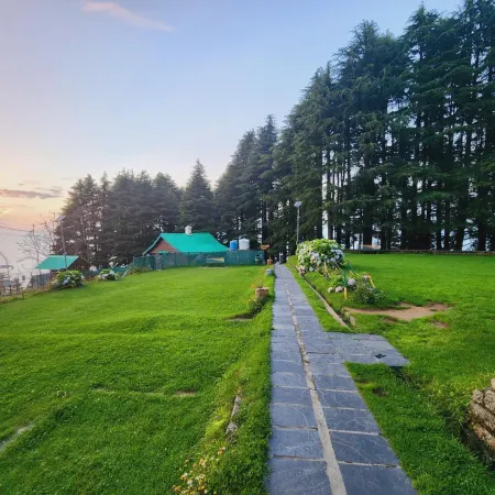 Forest Vibes Kalatop Rooms Restaurant
