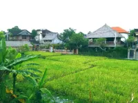 Qiul Guest House Hoteles cerca de Museo de Arte Angung Rai (ARMA