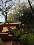 Almabosque Cabañas Hotels in 