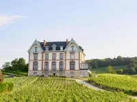 Chateau de Sacy - 5-Star