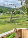 Chan Rak Khao Villa - Mountain view