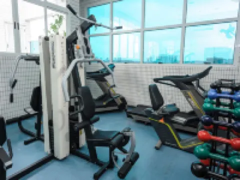 Hotel The Premium Hotels in Osasco