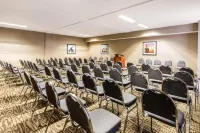 Comfort Inn & Suites IAH Bush Airport - East - Cheap