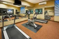 Holiday Inn Express 波科莫克市 - 健身房