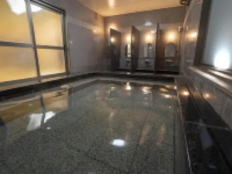 新蓋亞酒店-飯冢 飯冢市酒店