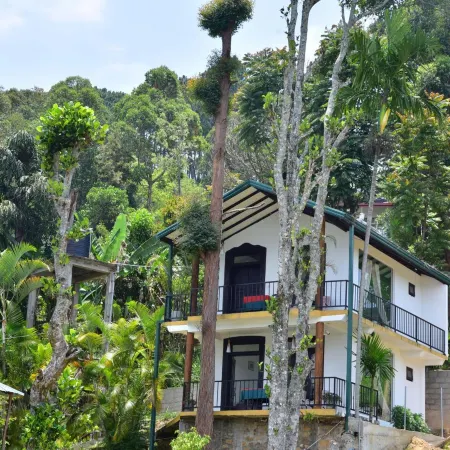 Hill Forest Cottage