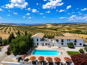 Lemon Tree Retreat at El Amparo