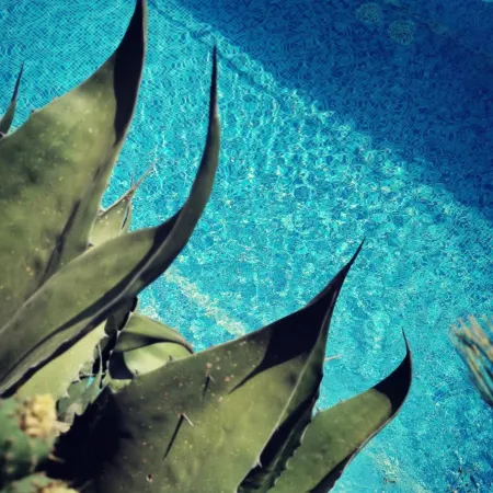 L'Ulivo Resort