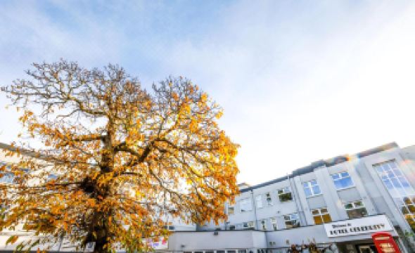 Hotel Celebrity Bournemouth East Cliff by Villare Hotels