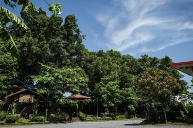 รูปภาพของบ้านเพิ่มสุข อิมแพ็ค เมืองทอง