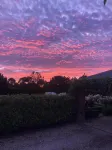 La Bella Vita