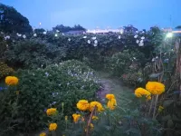 Baan Bussaba Hotel - Homestays