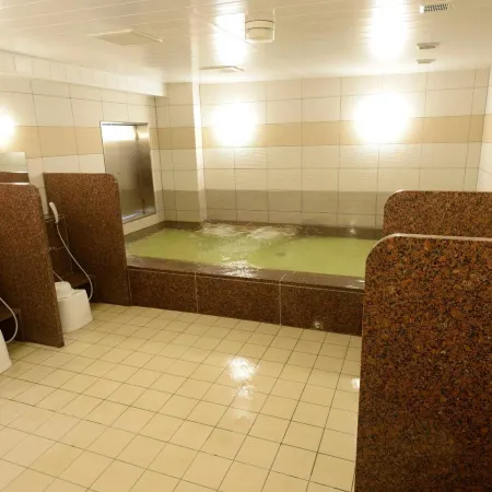Natural Hot Spring Midosuji Hotel