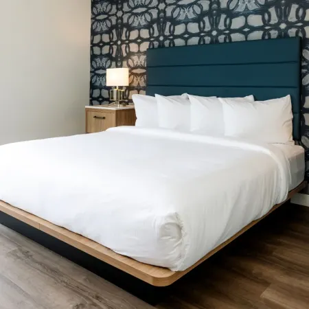 Hive Hotel Unscripted By Hyatt