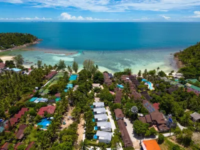 Bougain Villas