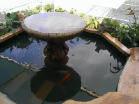 Acacia Rose Motor Inn Hotels in Barham