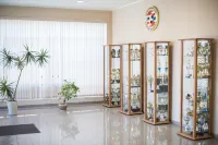 Olimpiya Hotel Hotels in Volgograd