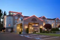 胡椒樹奧本貝斯特韋斯特優質飯店 住宿飯店