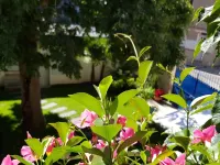 Villa Mary Hotels in Amboise