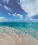 Island Life Maldives Retreat & Spa - Wi-Fi