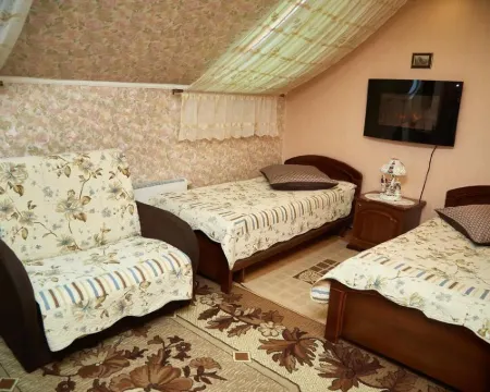 VIP Mini-Hotel Hotels in Klin