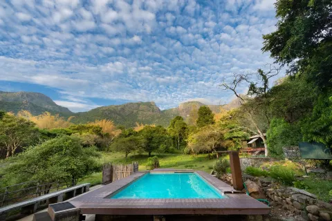 Jungle Hut