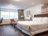 The Business Inn Hotels in Ottawa