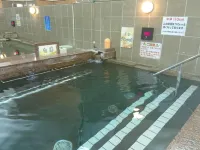 Natural Spa, Kanazawa Hotel Yumenoyu - avec sources thermales