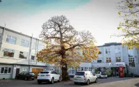 Hotel Celebrity Bournemouth East Cliff by Villare Hotels - موقف سيارات
