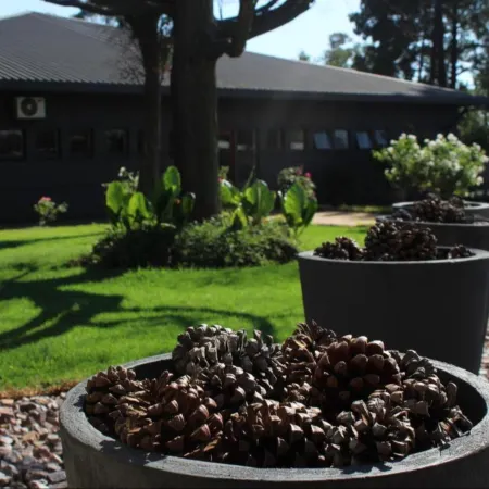 Vista Ort