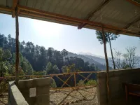 Jungle Stays - Pet friendly