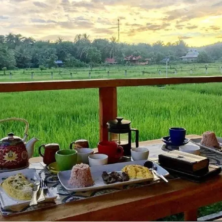 Guerrera Rice Paddy Villas