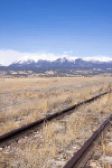 포차 스프링스 더 로지