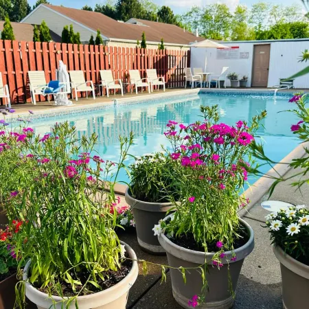 Quality Lodge - Cedar Point Area