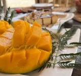 PENSAO PORTA do VENTO Hotels in Espargos