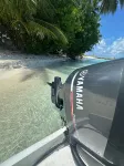 Bougainvillea Inn - Maldives - Beach