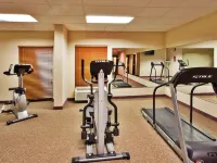 Holiday Inn Express ATLANTA W (I-20) DOUGLASVILLE by IHG - Gym