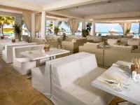 Divi Aruba Phoenix Beach Resort Hotels in Palm Beach