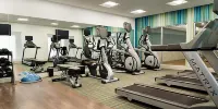 Holiday Inn Express & Suites BARDSTOWN by IHG - Gym