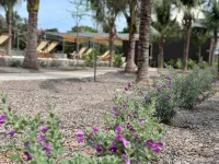 Wanderlust Garden Inn - 2 ดาว