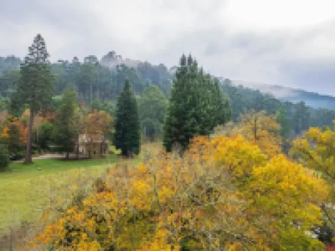 Toorongo Valley Estate Hotels in Noojee
