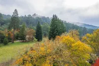 Toorongo Valley Estate